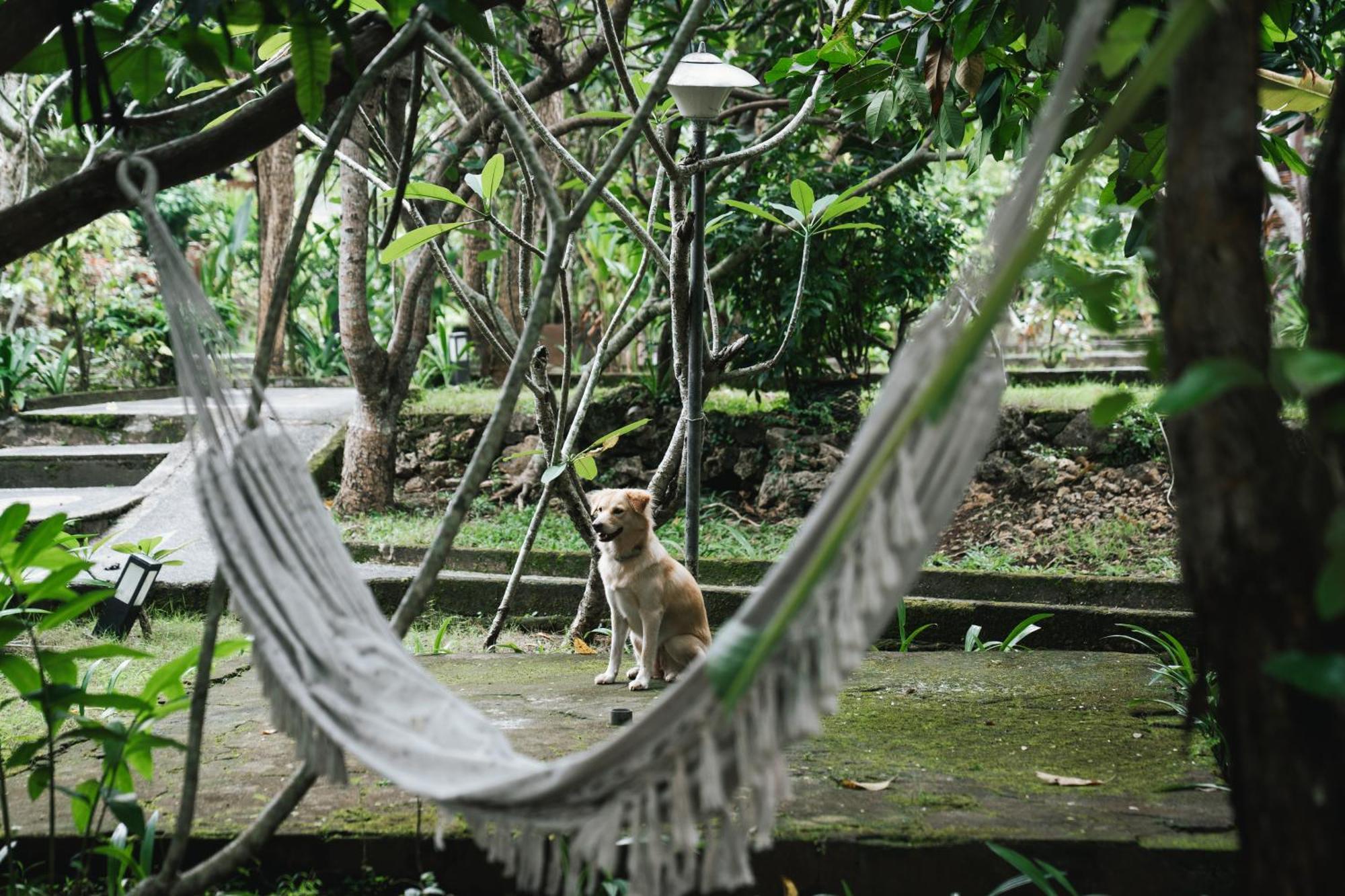 Olo Surf Nature Uluwatu Exteriér fotografie